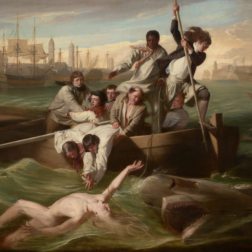 Watson and the Shark